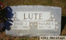 David J Lute