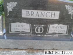 June Irene Amundson Branch