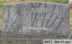 Peter C Carr