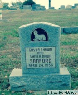 Gayla Shawn Sanford