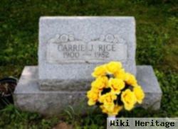 Carrie J Rice