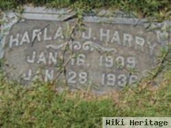 Harlan J Harry