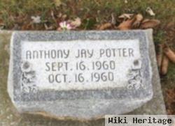 Anthony Jay Potter