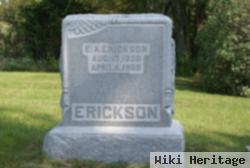 Erick Augustus Erickson