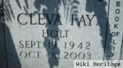 Cleva Fay Holt Bingham