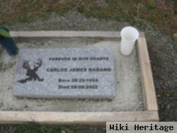 Carlos James Rabano