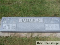 Julia N. Nelson Hallgren