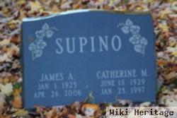 Catherine M. Supino