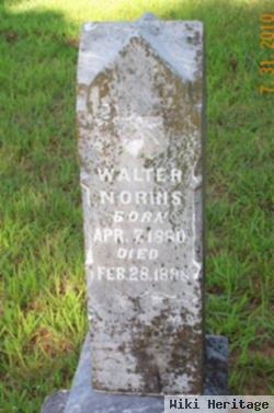 Walter Norris