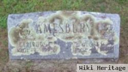 Henry M. Amesbury