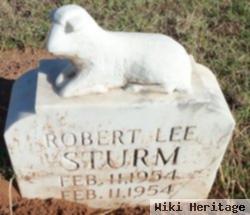 Robert Lee Sturm