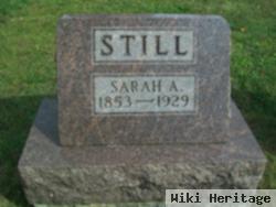 Sarah Anna Brothers Still