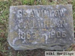 Seawillow Callihan