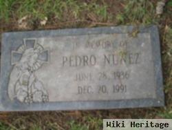 Pedro Nunez