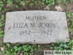 Eliza M. Jenkins