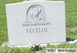 Lucia M Uccello