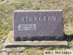 David M. Sturgeon