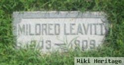 Mildred Leavitt