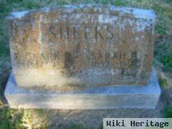 Sarah E. Sheeks