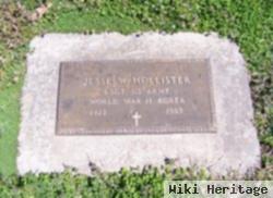 Jesse W. Hollister