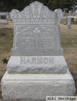 David W. Harmon