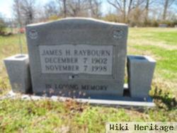 James H Raybourn