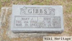 Mary J. Gibbs