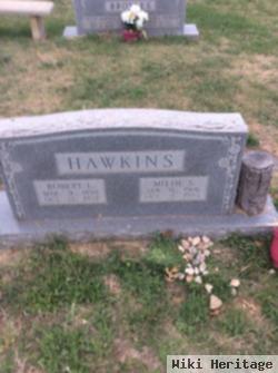 Robert L. Hawkins