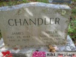 Nellie Chandler