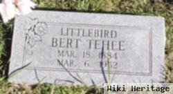 Littlebird "bert" Tehee