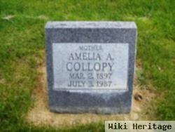 Amelia A Collopy