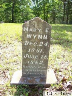 Mary E Wynn