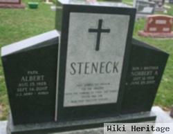 Albert Steneck