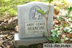 Andy Lewis Avancini