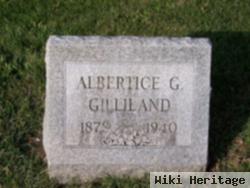 Albertice G Gilliland