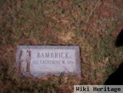 Catherine M Bambrick