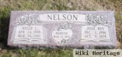 Nellie Livingston Nelson