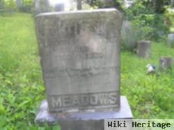 Gordon P. Meadows