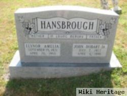 John Hobart Hansbrough, Jr