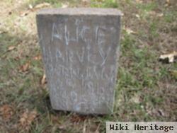 Martha Alice Worden Harvey