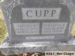 Stuart P Cupp