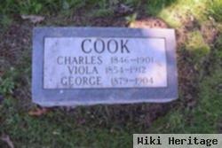 Viola Ina Cotton Cook