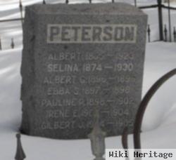 Albert Peterson