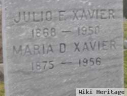 Julio F. Xavier