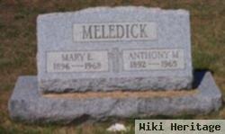 Anthony M Meledick