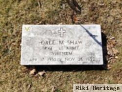 Dale M Shaw