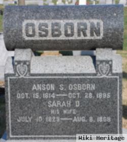 Sarah D Osborn