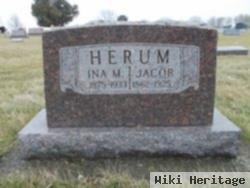 Jacob Herum