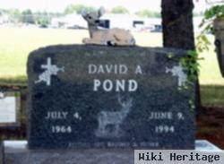 David A. Pond