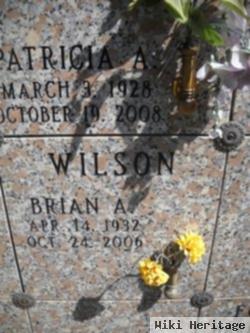 Brian A. Wilson